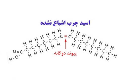 اسید چرب غیر اشباع