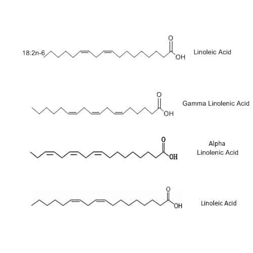 ساختار اسید اولئیک و اسید لینولئیک